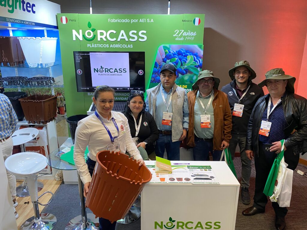 Norcass en el XXXVII Seminario Internacional Blueberries Consulting – Trujillo 2025